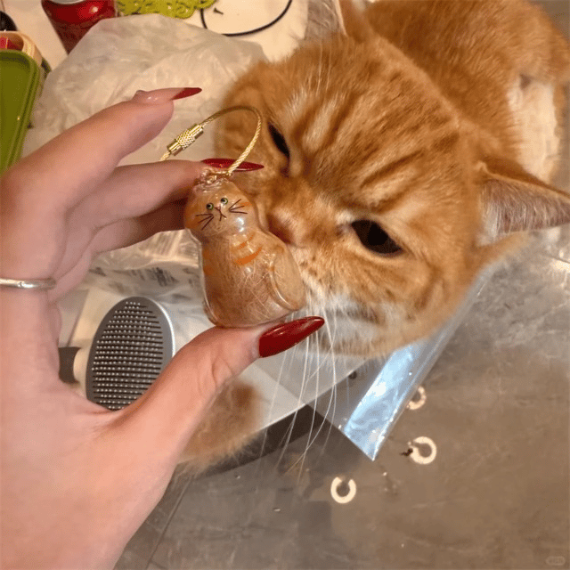 🐾1 Count Transparent Cat Hair Storage Capsule Keychain,🐱 Keepsake Decoration for Cat Lovers, 6 Cute Cat Designs Available💕